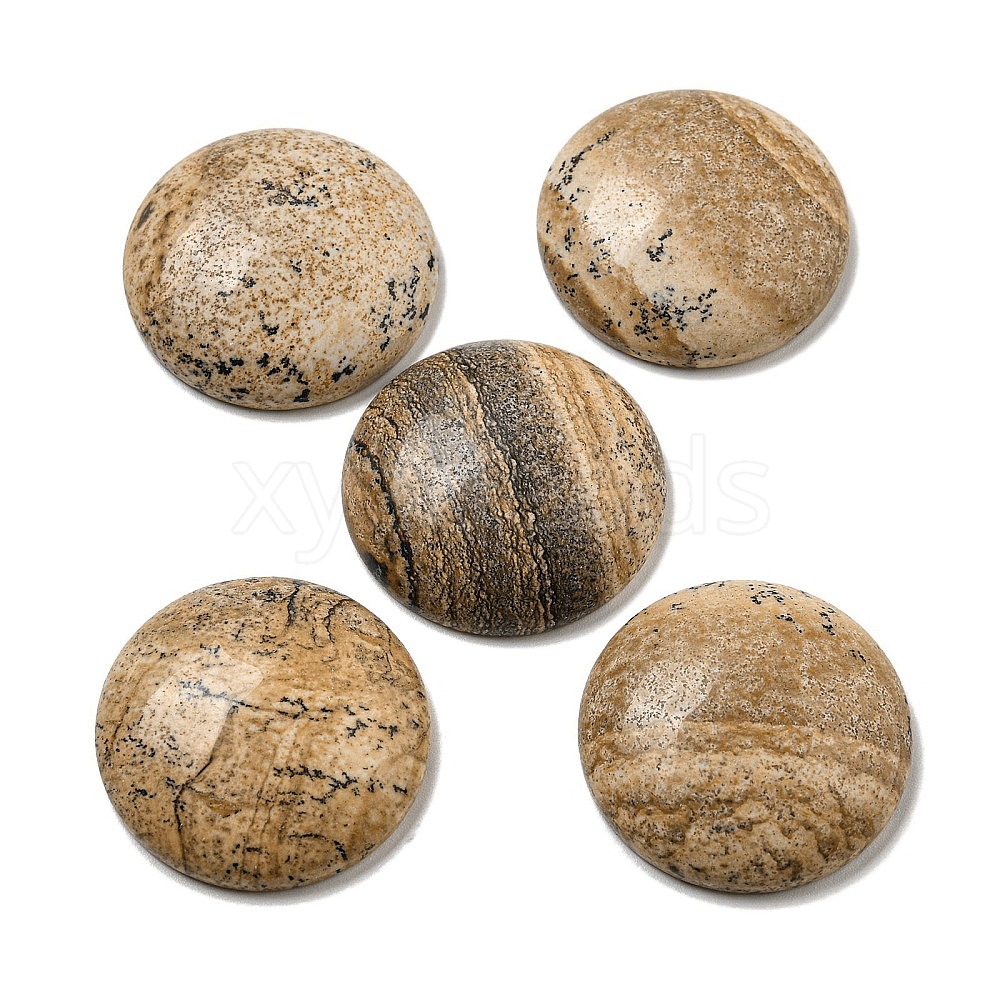 Wholesale Natural Picture Jasper Cabochons Xyzbeads