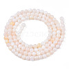 Natural Freshwater Shell Beads Strands X-BSHE-T009A-01B-2