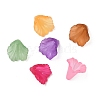 Transparent Acrylic Beads PL622M-2
