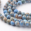 Natural Imperial Jasper Beads Strands G-I122-10mm-13-1