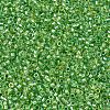 MIYUKI Delica Beads SEED-X0054-DB2376-3