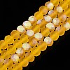 Transparent Glass Beads Strands EGLA-A044-T6mm-MB05-1