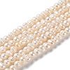 Natural Cultured Freshwater Pearl Beads Strands PEAR-E018-54-1
