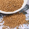 MIYUKI Delica Beads SEED-J020-DB1833F-1