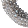 Natural Labradorite Round Bead Strands G-M263-B-03-5