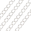 Iron Twisted Chains CH-0.8DK-S-1