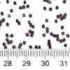 11/0 Grade A Glass Seed Beads X-SEED-S030-1014-4