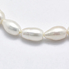 Natural Cultured Freshwater Pearl Beads Strands PEAR-F007-78-01-3
