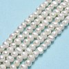 Natural Cultured Freshwater Pearl Beads Strands PEAR-F018-14-01-2