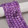 Dyed Natural Malaysia Jade Beads Strands G-G021-02C-05-2