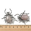 Dual-use Items Alloy Spider Brooch JEWB-C026-03H-AS-3