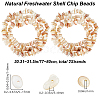 2 Strands Natural Freshwater Shell Beads Strands G-BBC0001-43B-2