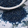 MIYUKI Delica Beads SEED-X0054-DB1763-1