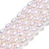 Natural Cultured Freshwater Pearl Beads Strands PEAR-N012-05I-4