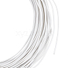 Round Iron Wire FIND-WH0152-648B-1