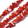 Natural Trochid Shell/Trochus Shell Bead Strands SSHEL-N034-78-C04-1