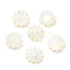Natural Trochid Shell/Trochus Shell Beads SSHEL-R145-01-1