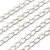 Iron Twisted Chains CH-C012-S-1