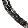 Natural Eagle Eye Stone Beads Strands G-RM250101-E6-3