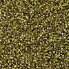 MIYUKI Delica Beads SEED-X0054-DB2164-3