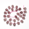 Natural Strawberry Quartz Beads Strands G-R435-15L-2