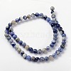 Natural Sodalite Beads Strand GSR6mmC013-3