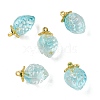 Transparent Glass Pendants GLAA-P072-03G-02-1