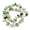 Natural Chrysoprase Beads Strands G-A296-02-3