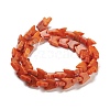 Natural Howlite Beads Strands TURQ-K006-01C-3