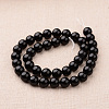 Polished Round Grade A Shell Pearl Bead Strands BSHE-M027-8mm-08-2