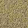 TOHO Round Seed Beads SEED-XTR11-PF0559-2