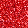3/0 Baking Paint Glass Fringe Seed Beads SEED-A034-04E-3