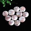 Natural Conch Shells Round Decorations PW-WG89460-01-1