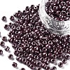 6/0 Glass Seed Beads SEED-US0003-4mm-126-1