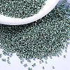 MIYUKI Delica Beads SEED-MY11-DB1846-1