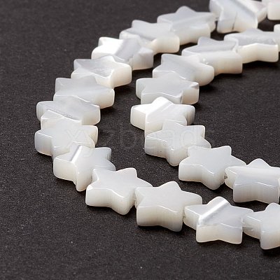 Natural Trochid Shell/Trochus Shell Beads SSHEL-O001-25B-02-1