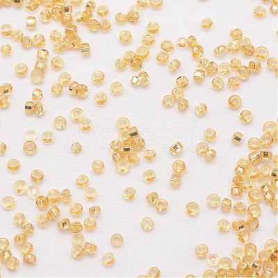8/0 Round Glass Seed Beads SEED-J018-F8-62-1