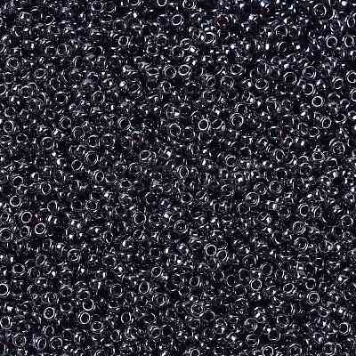 MIYUKI Round Rocailles Beads X-SEED-G009-RR0171-1