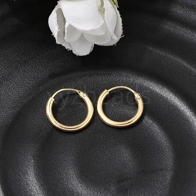 Brass Hoop Earrings EJEW-G474-01G-01-1