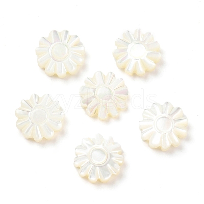 Natural Trochid Shell/Trochus Shell Beads SSHEL-R145-01-1