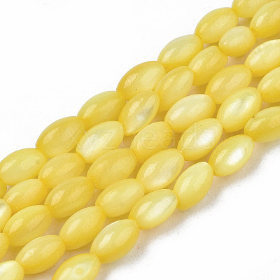 Natural Freshwater Shell Beads Strands X-SHEL-N003-25-B05-1