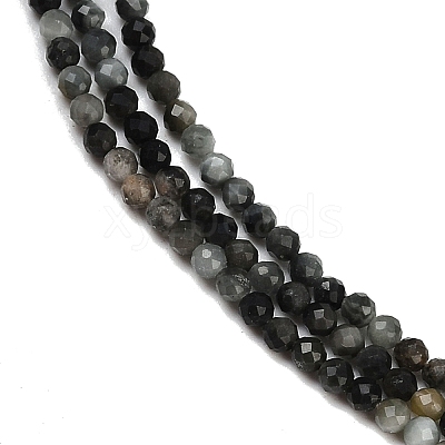 Natural Eagle Eye Stone Beads Strands G-RM250101-E6-1