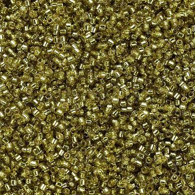 MIYUKI Delica Beads SEED-X0054-DB2164-1