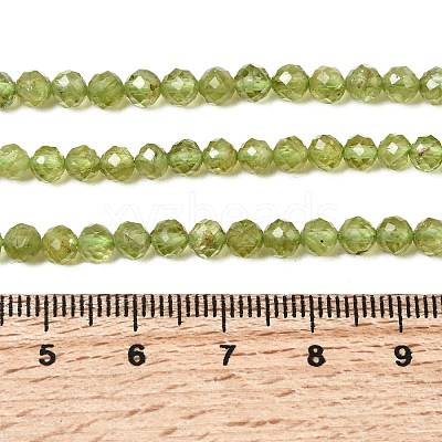 Natural Peridot Beads Strands G-P603-C-4mm-01-1