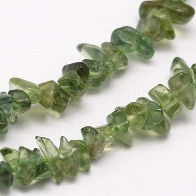 Chips Natural Green Apatite Beads Strands G-N0164-26-1