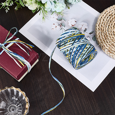 6 Colors Raffia Paper Cords OCOR-WH0063-110C-1