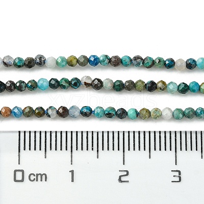 Natural Chrysocolla Beads Strands G-Z034-A03-01-1