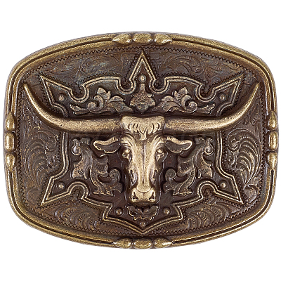 1Pc Alloy Belt Buckles FIND-CL0001-40AB-1