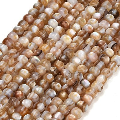 Natural Freshwater Shell Beads Strands SH-CBA93AD-03-1