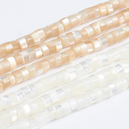 Natural Trochid Shell/Trochus Shell Beads Strands SSHEL-L016-13-1